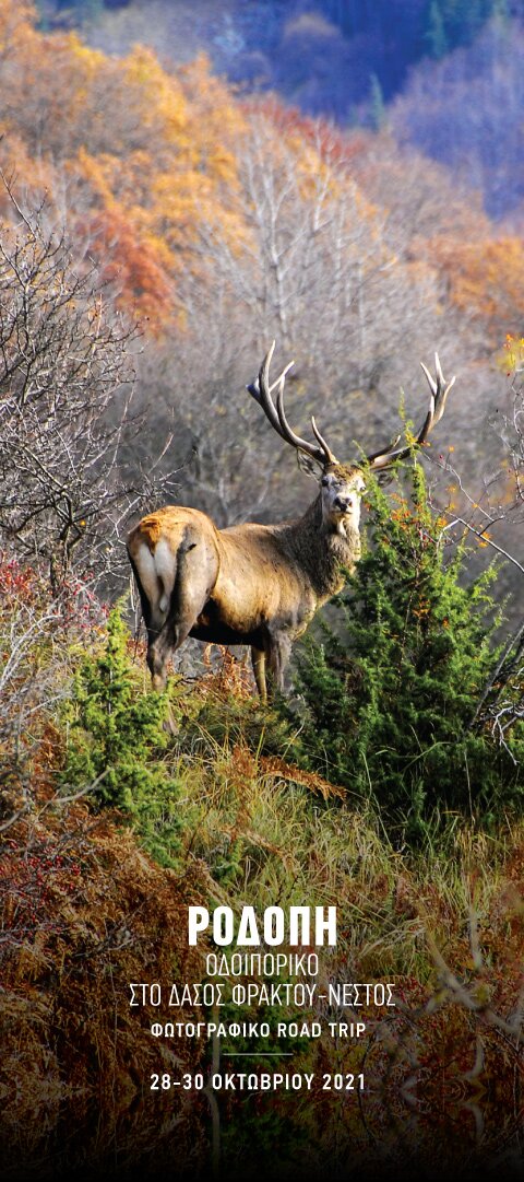 The Lifetime Experience - ????? ??? ?? ??????? & ??? ??????????